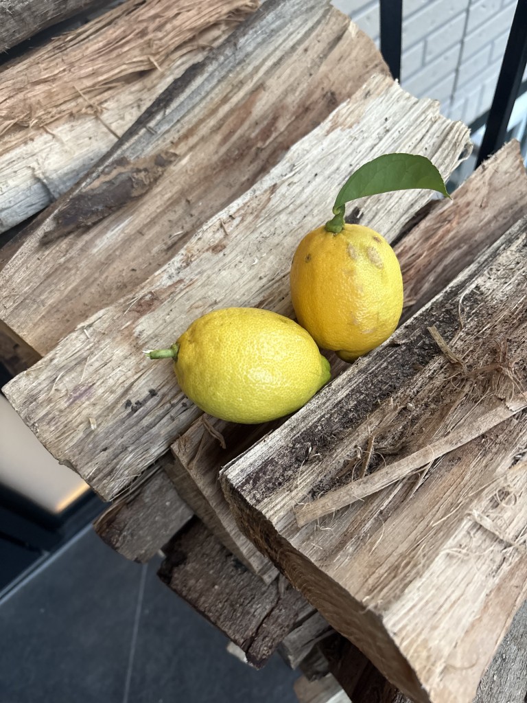 78808019787__73D23DE8-0450-47AC-A690-2F4E3440EF3B